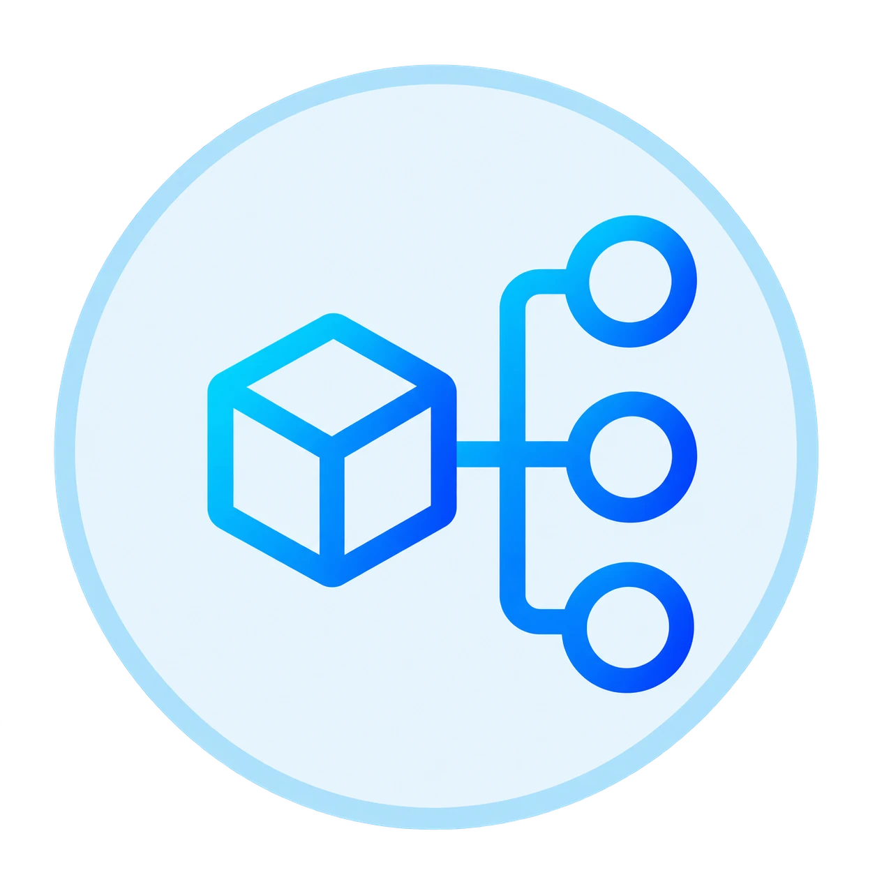 custom development